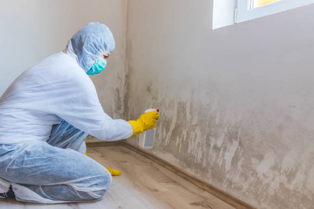 Hvac And Air Duct Mold Remediation inspection of HVAC system in Jericho
